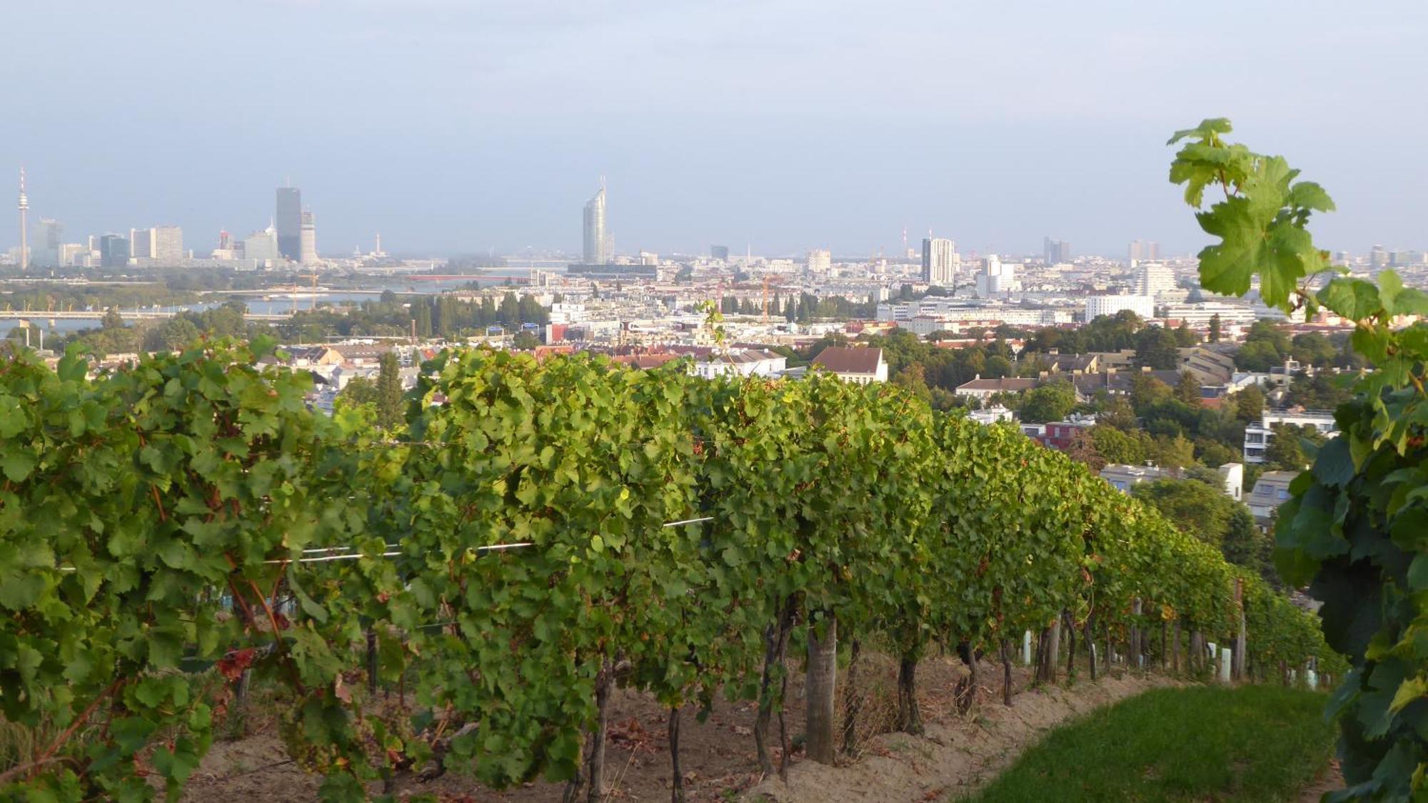Appartement Wohnen Im Schoensten Viertel Wiens *